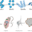 BIOLOGICAL CLASSIFICATION-I